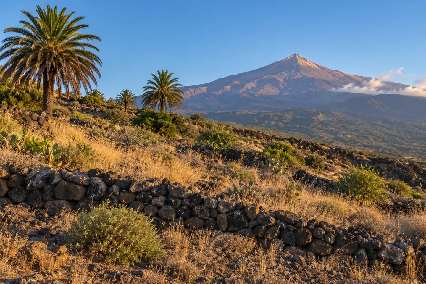Foto de ejemplo de una parcela en Tenerife con el Teide al fondo